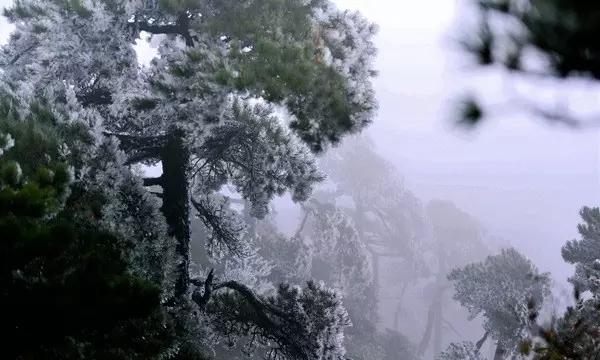 新大话3经典版