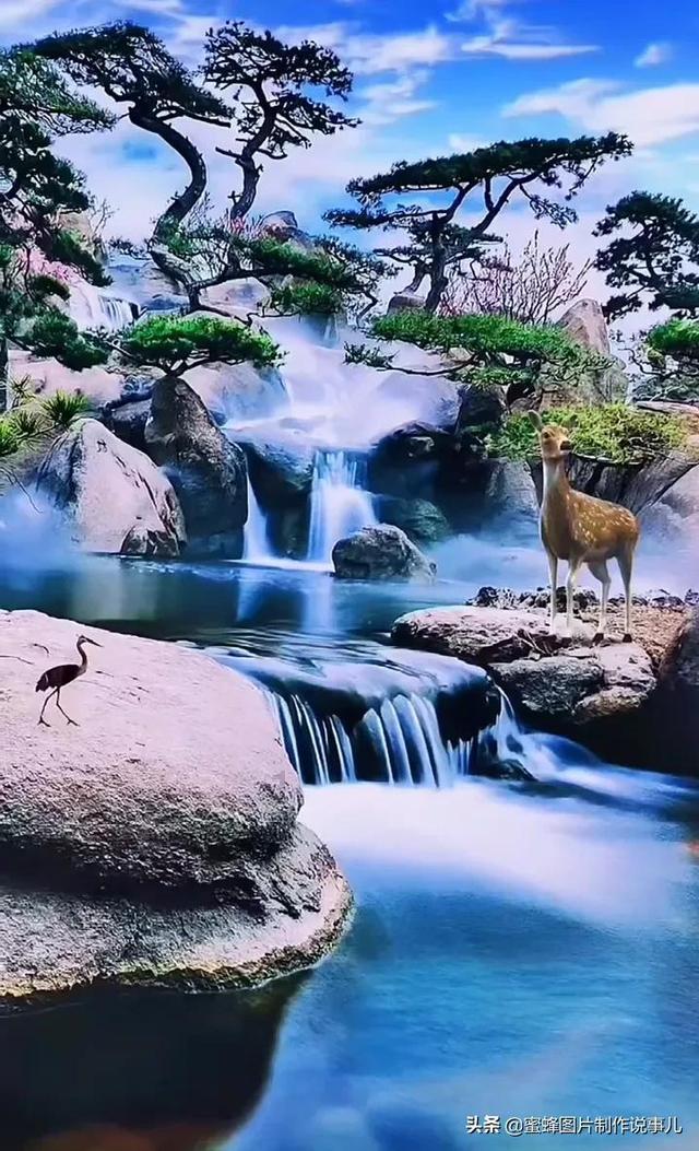 小猫钓鱼开船版最新版下载