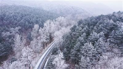 试用期没有工资的制度是否合理？你是否能够接受？游戏画面